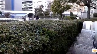 韩国视频成人2017r级- 高清在线观看