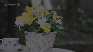 鬥魚主播 性感禦姐 藝瑟妃 直播閃底、透視、 各種騷氣絲襪 熱舞誘惑 Part (201)
